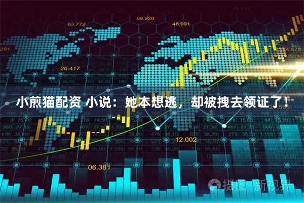 小煎猫配资 小说：她本想逃，却被拽去领证了！